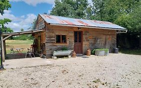 La chouette étoilée